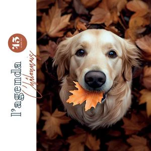 Agenda Chalonnais 45