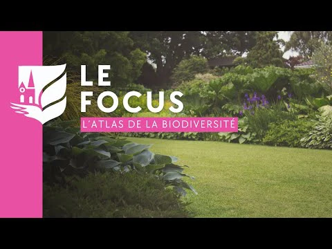 L\'Atlas de la biodiversité 🦋🌳
